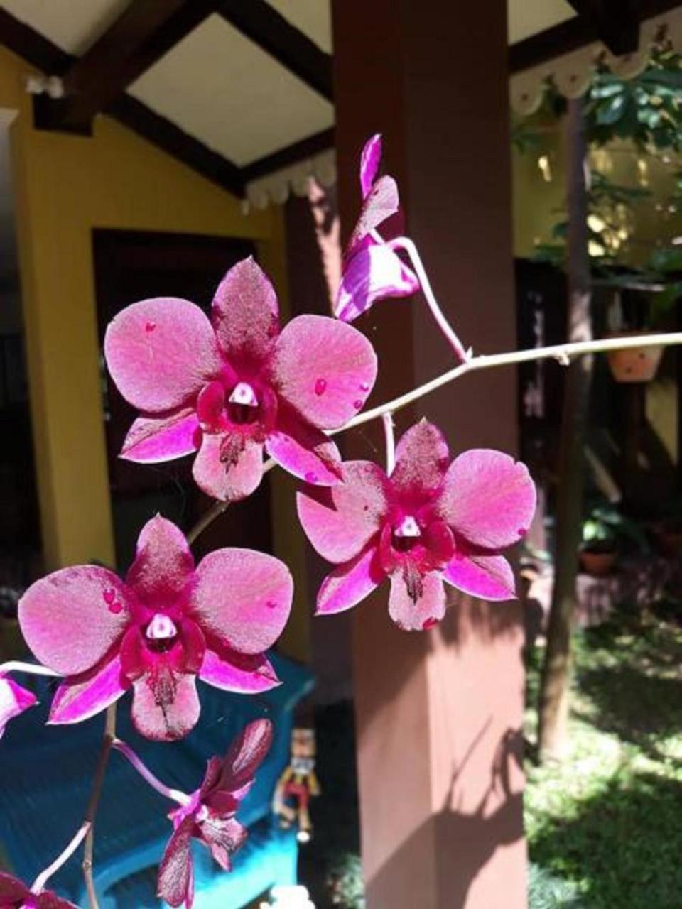 Thanakha Inle Hotel Nyaungshwe Township Exterior photo